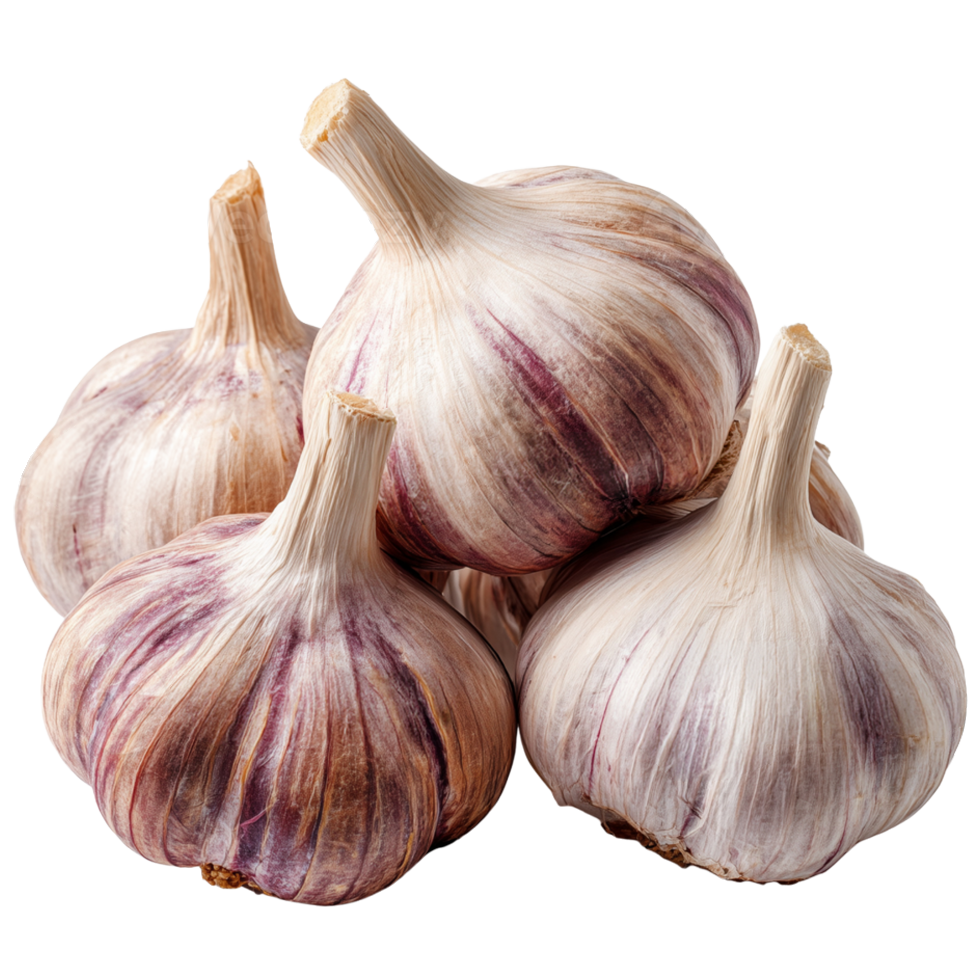 Garlic