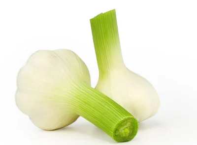 Garlic